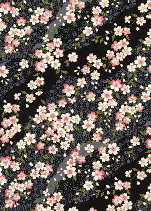 black cherry blossom background